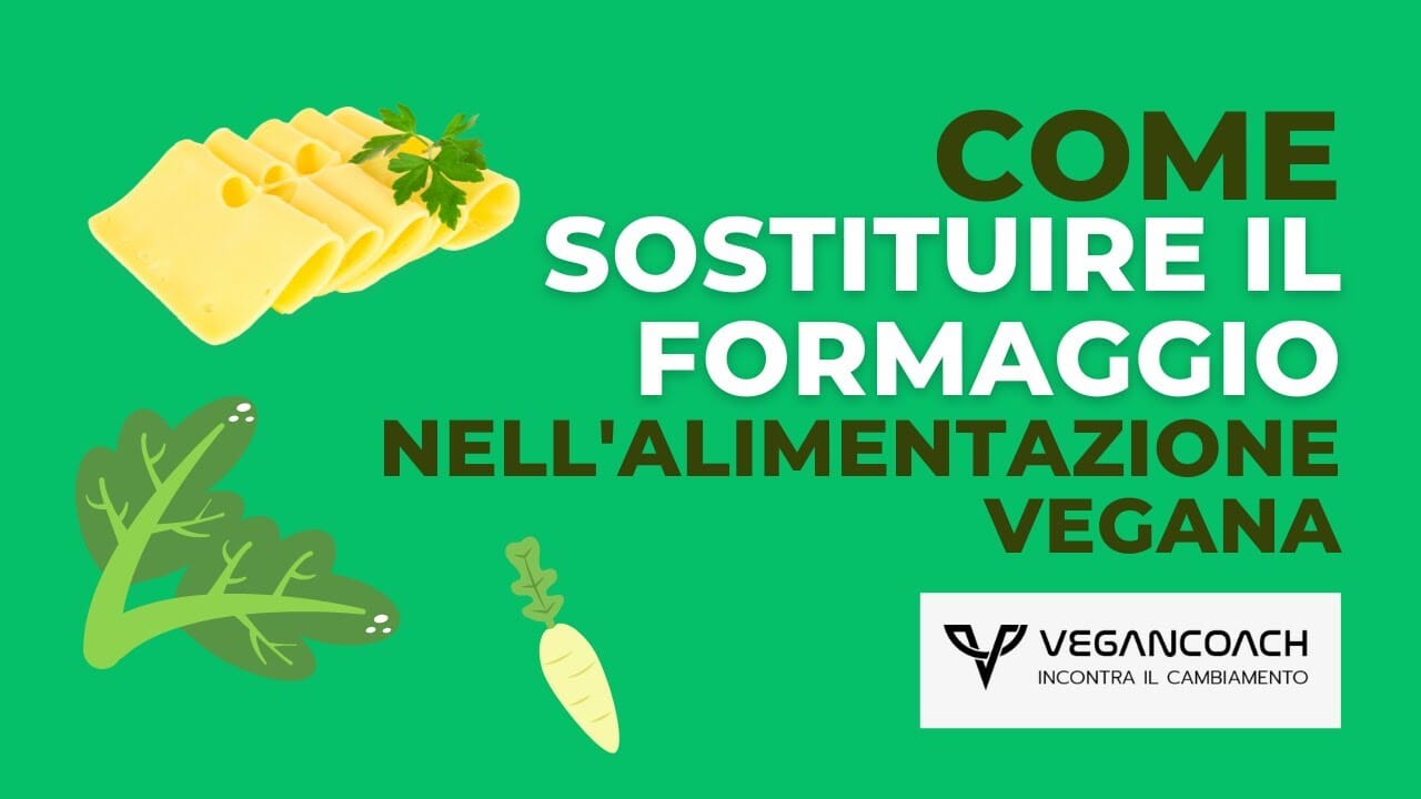 Come rendere gustosi i formaggi vegani 