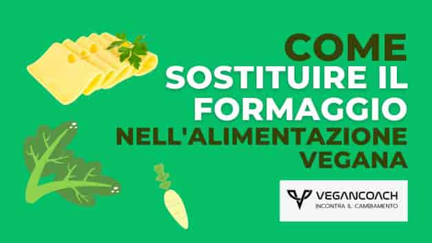formaggi vegani: una soluzione sana e creativa per le diete vegetali