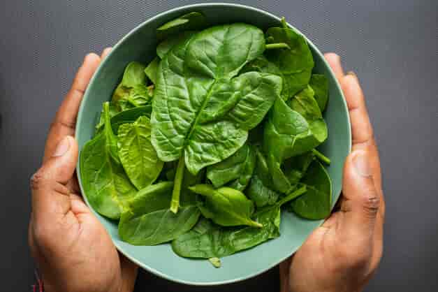 ferro e dieta vegana: alimenti ricchi di ferro