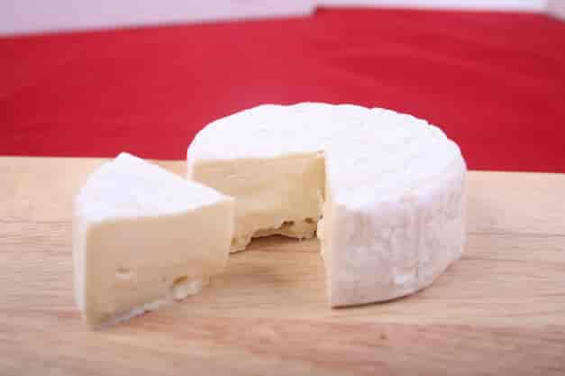 formaggio vegano fatto in casa
